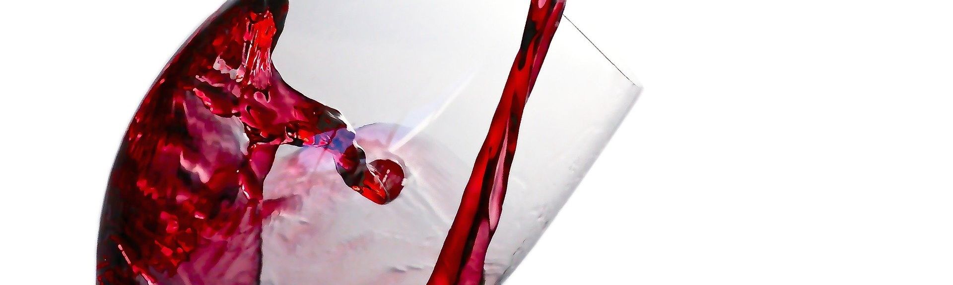 Lernen wann und wo du willst!